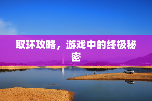 取环攻略，游戏中的终极秘密