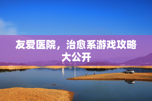 友爱医院，治愈系游戏攻略大公开