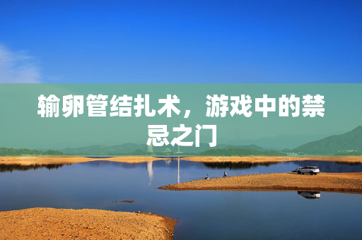输卵管结扎术，游戏中的禁忌之门