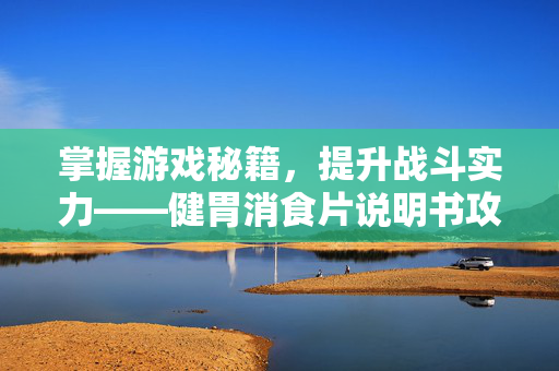 掌握游戏秘籍，提升战斗实力——健胃消食片说明书攻略-第1张图片-SK游戏资讯网