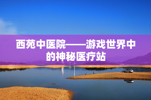 西苑中医院——游戏世界中的神秘医疗站