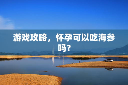 游戏攻略，怀孕可以吃海参吗？