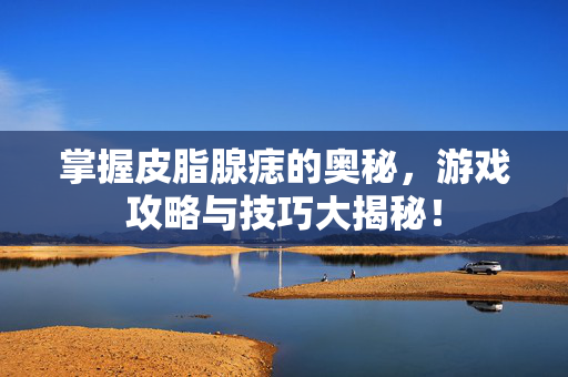 掌握皮脂腺痣的奥秘，游戏攻略与技巧大揭秘！