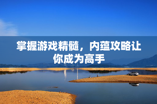 掌握游戏精髓，内蕴攻略让你成为高手