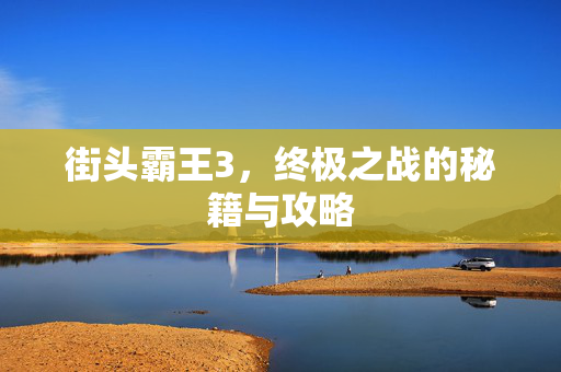 街头霸王3，终极之战的秘籍与攻略