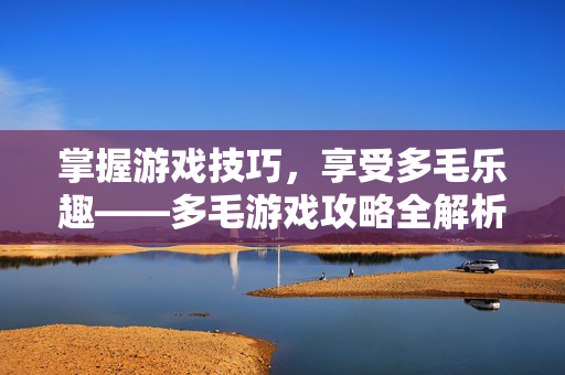 掌握游戏技巧，享受多毛乐趣——多毛游戏攻略全解析-第1张图片-SK游戏资讯网