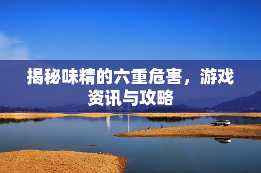揭秘味精的六重危害，游戏资讯与攻略