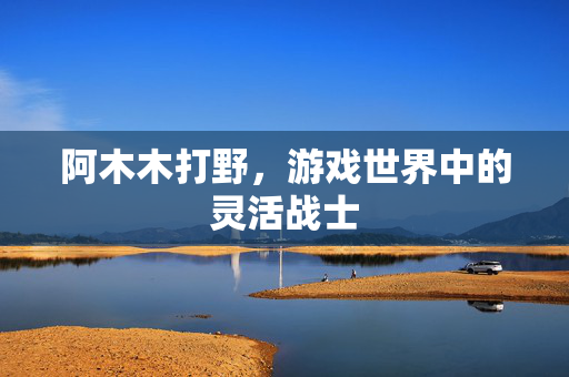 阿木木打野，游戏世界中的灵活战士