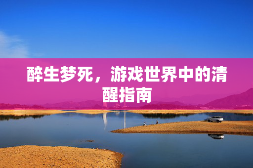 醉生梦死，游戏世界中的清醒指南