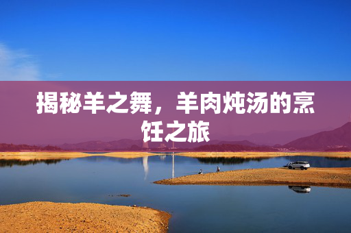 揭秘羊之舞，羊肉炖汤的烹饪之旅