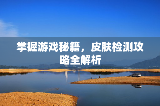 掌握游戏秘籍，皮肤检测攻略全解析