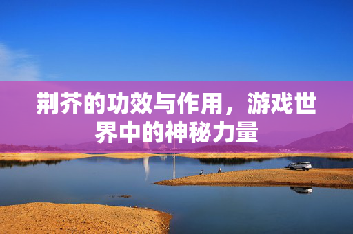 荆芥的功效与作用，游戏世界中的神秘力量