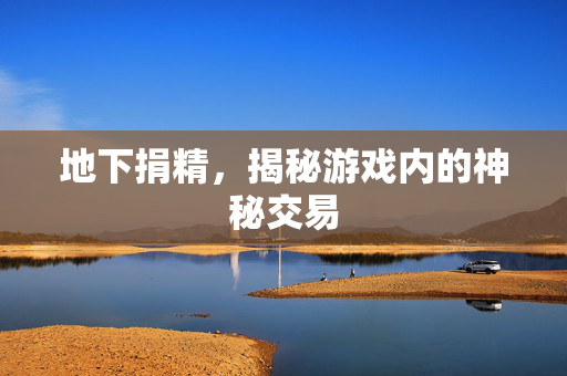 地下捐精，揭秘游戏内的神秘交易-第1张图片-SK游戏资讯网