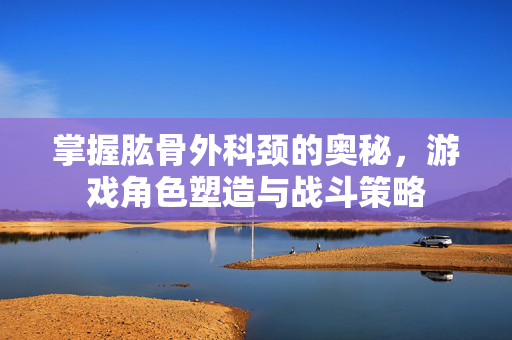 掌握肱骨外科颈的奥秘，游戏角色塑造与战斗策略
