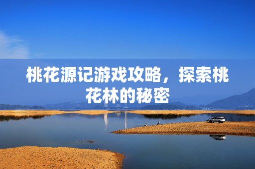 桃花源记游戏攻略，探索桃花林的秘密