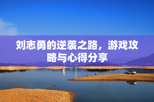 刘志勇的逆袭之路，游戏攻略与心得分享