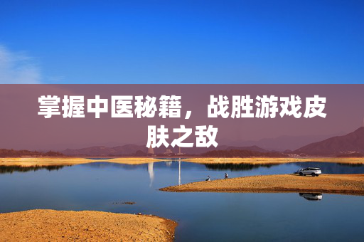 掌握中医秘籍，战胜游戏皮肤之敌