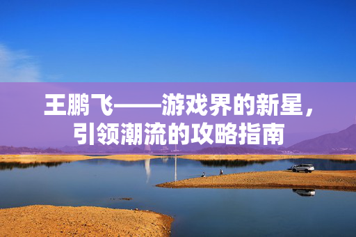 王鹏飞——游戏界的新星，引领潮流的攻略指南