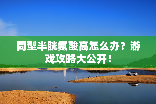 同型半胱氨酸高怎么办？游戏攻略大公开！