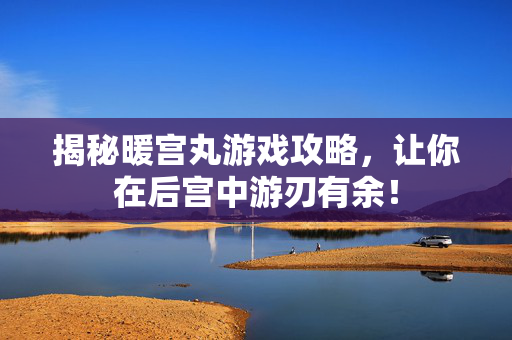 揭秘暖宫丸游戏攻略，让你在后宫中游刃有余！
