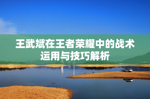 王武斌在王者荣耀中的战术运用与技巧解析