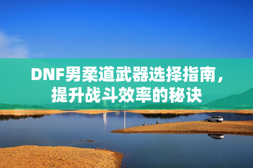 DNF男柔道武器选择指南，提升战斗效率的秘诀