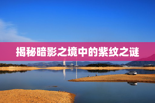 揭秘暗影之境中的紫纹之谜