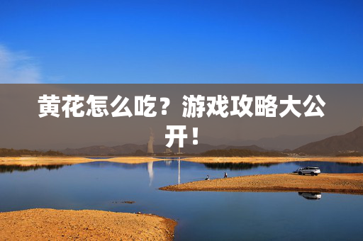 黄花怎么吃？游戏攻略大公开！