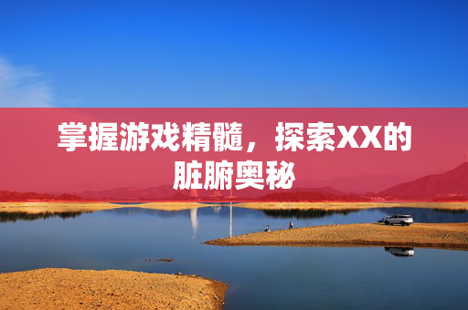掌握游戏精髓，探索XX的脏腑奥秘