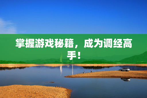 掌握游戏秘籍，成为调经高手！