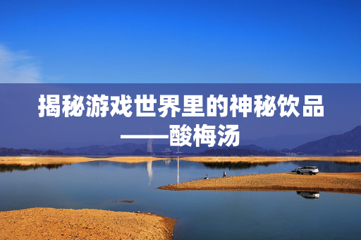 揭秘游戏世界里的神秘饮品——酸梅汤