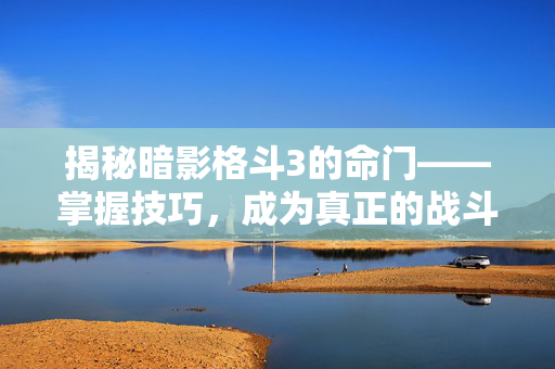 揭秘暗影格斗3的命门——掌握技巧，成为真正的战斗大师