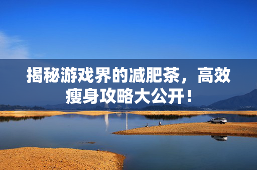 揭秘游戏界的减肥茶，高效瘦身攻略大公开！