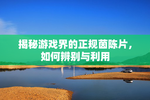 揭秘游戏界的正规茵陈片，如何辨别与利用