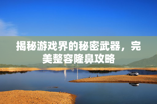 揭秘游戏界的秘密武器，完美整容隆鼻攻略