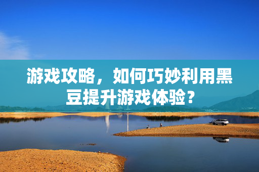 游戏攻略,如何巧妙利用黑豆提升游戏体验?-第1张图片-SK游戏资讯网 游戏攻略,如何巧妙利用黑豆提升游戏体验?-第1张图片-SK游戏资讯网