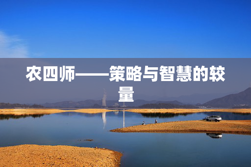农四师——策略与智慧的较量
