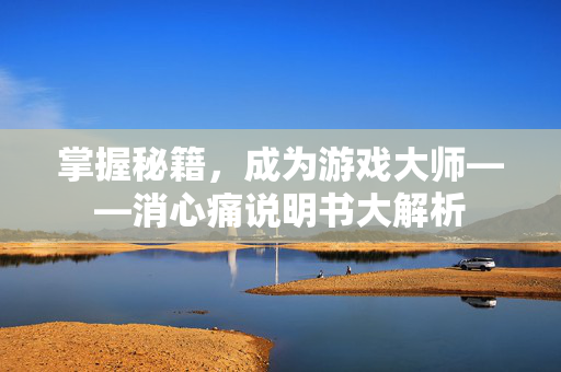 掌握秘籍，成为游戏大师——消心痛说明书大解析