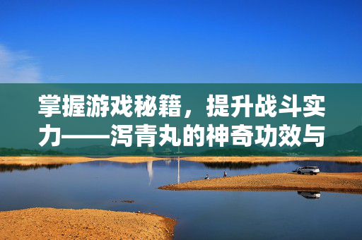 掌握游戏秘籍，提升战斗实力——泻青丸的神奇功效与作用