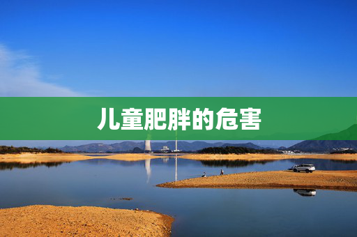 儿童肥胖的危害-第1张图片-SK游戏资讯网 儿童肥胖的危害-第1张图片-SK游戏资讯网