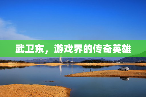 武卫东，游戏界的传奇英雄-第1张图片-SK游戏资讯网