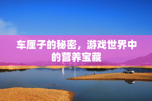 车厘子的秘密，游戏世界中的营养宝藏