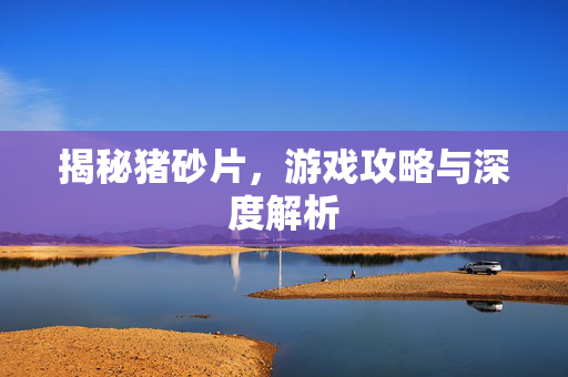 揭秘猪砂片，游戏攻略与深度解析