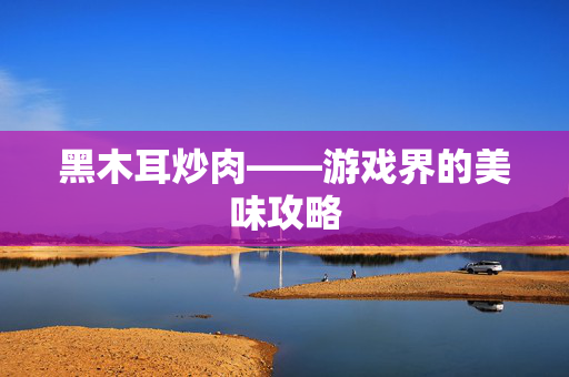 黑木耳炒肉——游戏界的美味攻略
