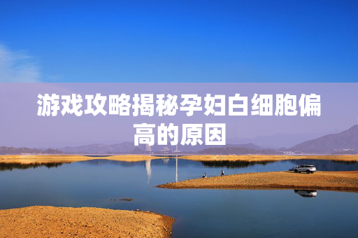 游戏攻略揭秘孕妇白细胞偏高的原因-第1张图片-SK游戏资讯网