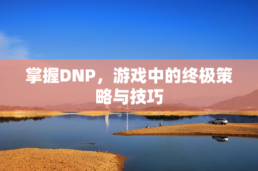 掌握DNP，游戏中的终极策略与技巧