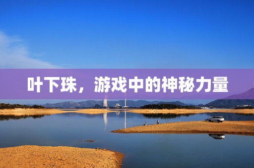 叶下珠，游戏中的神秘力量